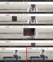 Elegant - Responsive WordPress theme with CMS Screenshot 3