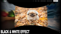 Noise Slider Carousel WordPress Plugin Screenshot 1
